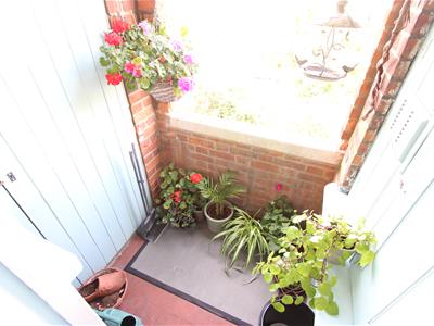 Picture 19